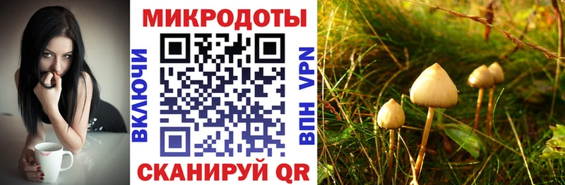 Псилоцибиновые грибы GOLDEN TEACHER  Семилуки 