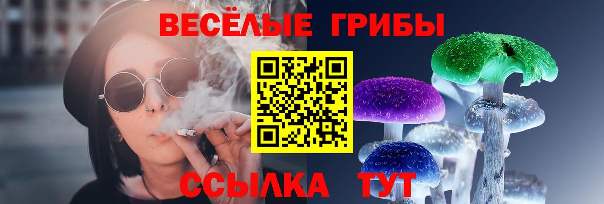 Псилоцибиновые грибы мухоморы Семилуки